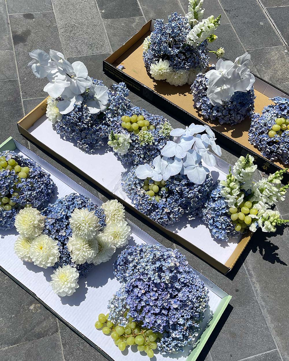 How to care for your flowers